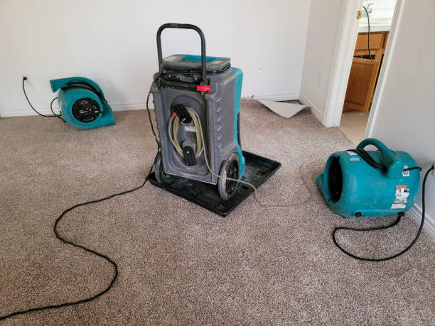 Best Carpet water damage restoration  in Agua Dulce, TX