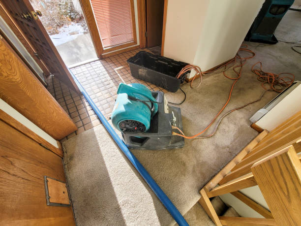Best 24/7 water damage repair  in Agua Dulce, TX