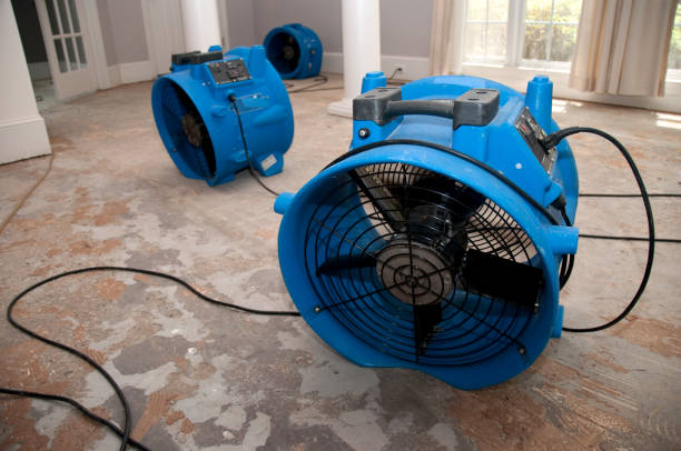 Best Water damage restoration insurance claims  in Agua Dulce, TX