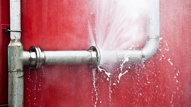 Best Mold removal after water damage  in Agua Dulce, TX